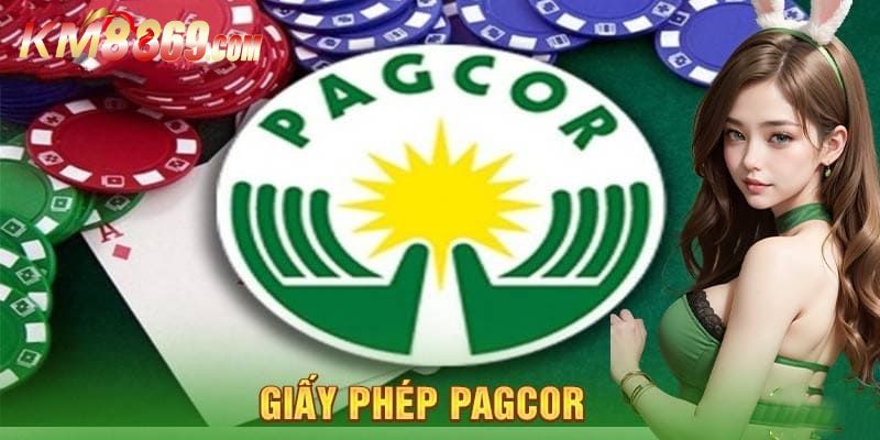 Quy trình để được cấp giấy phép Pagcor chuẩn hiện nay