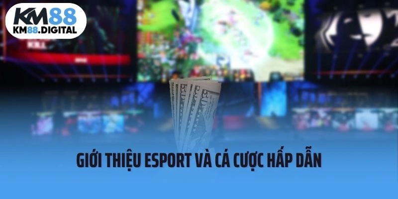 Giới thiệu esport và cá cược hấp dẫn