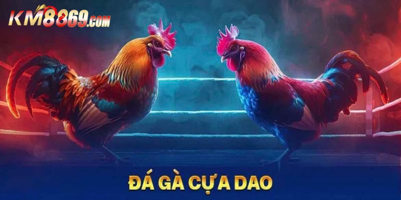 Sơ lược về đá gà cựa dao siêu hấp dẫn