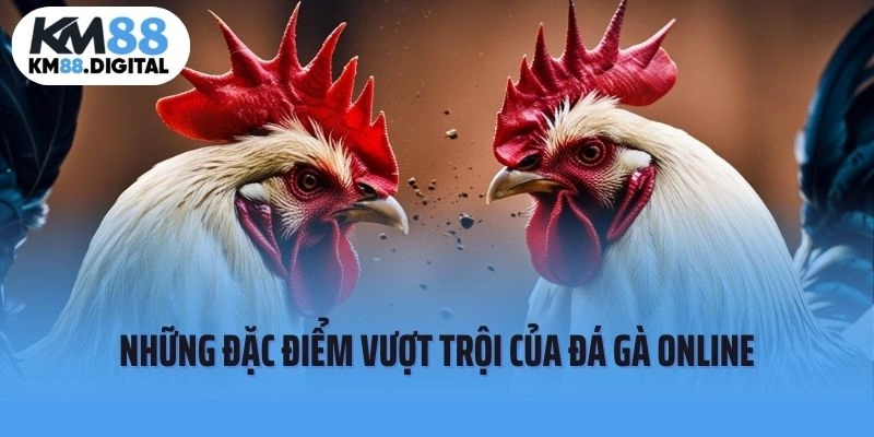Những đặc điểm vượt trội của đá gà online