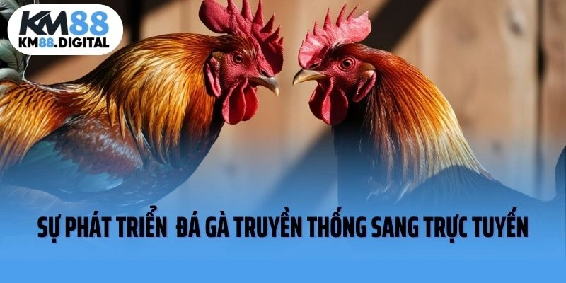 Sự phát triển từ hình thức đá gà truyền thống sang trực tuyến