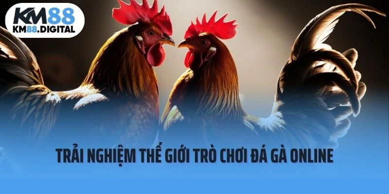Đá Gà Online - Trải Nghiệm Mới Trong Thế Giới Trò Chơi Trực Tuyến