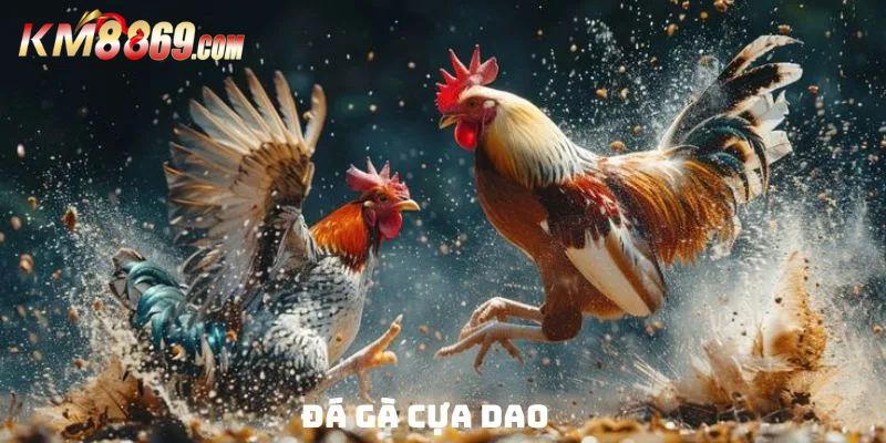 Đá Gà Cựa Dao - Hình Thức Hấp Dẫn Và Bí Quyết Cược Tại KM88
